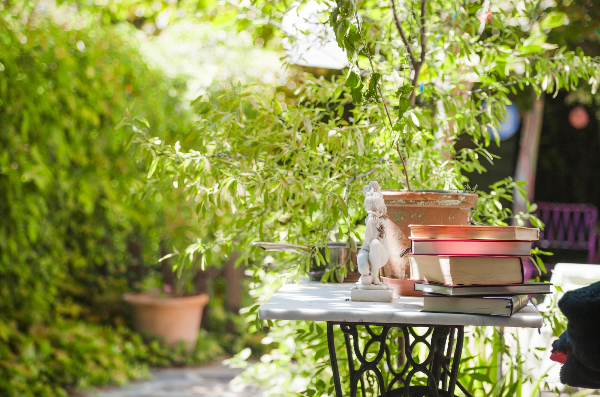 Meditation garden with bamboo