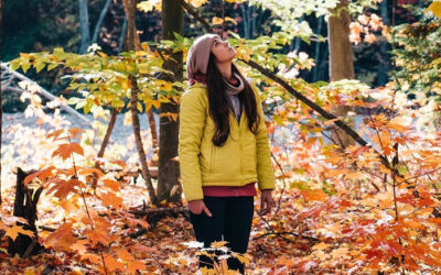 Autumn is the season for building mindfulness