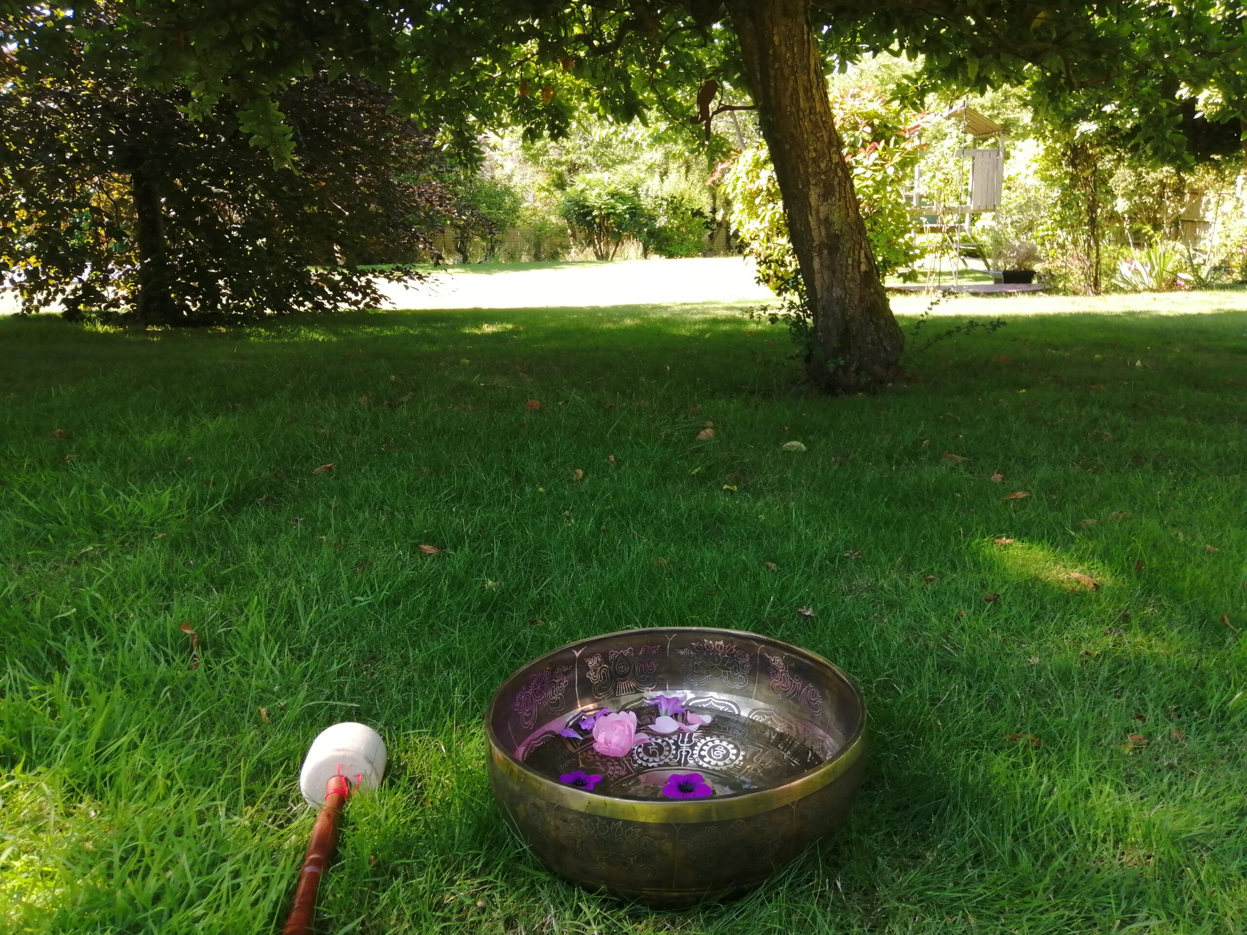 IMG_20220710_100935 singing bowl in garden
