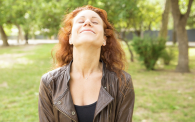 Back to Basics: Why Meditate? đĽď¸